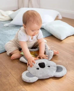 Haba Aktivitetsmåtte med vand - Koala