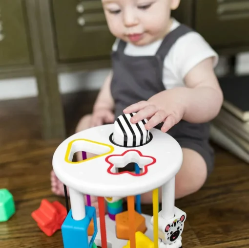 Online Baby Einstein - Puttekasse