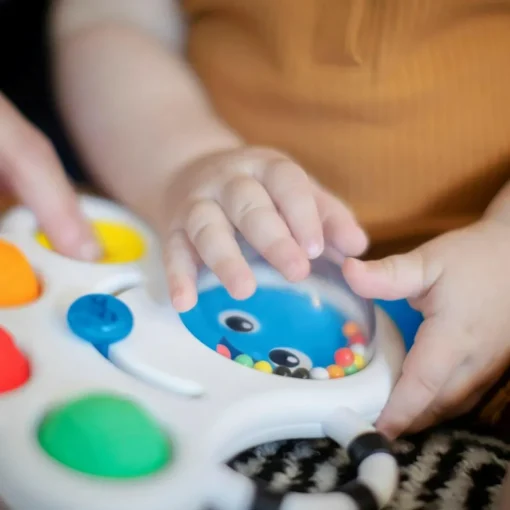 Online Baby Einstein - Rangle m. aktiviteter