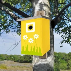 New Playbox Byg & Mal - Fuglehus