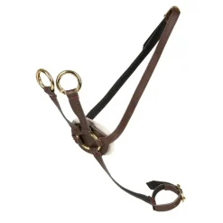 New Cheval Roi tilbehør - Martingal, Brun/guld