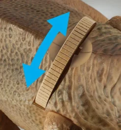 Online Brainstorm Dinosaur med projektor - T-Rex