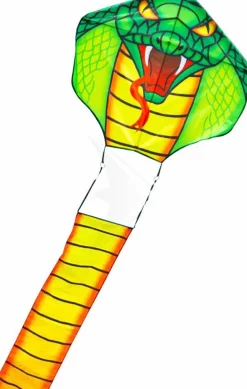 Clearance Drage - Cobra Dragon / 10 m. hale