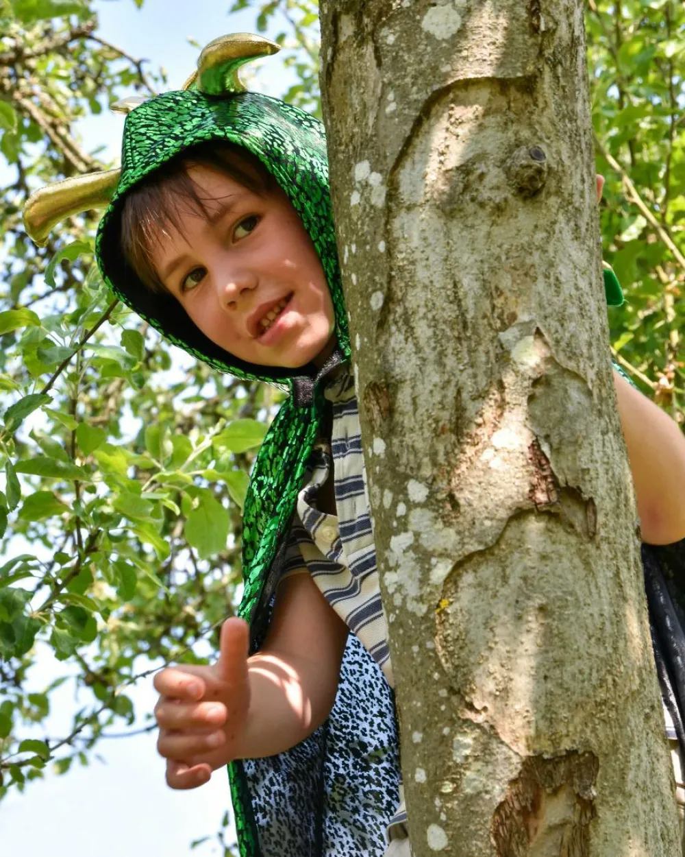 Clearance Den Goda Fen Dragekappe - Grøn/Guld, str. 3-8 år