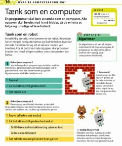 New Forlaget Bolden En visuel guide til computerkodning