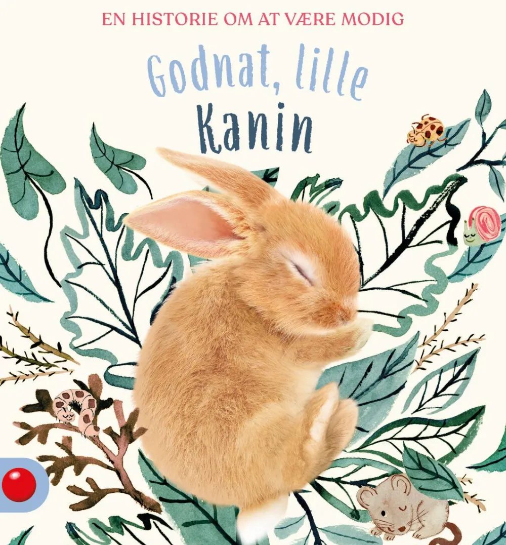 Forlaget Bolden Godnat, lille Kanin