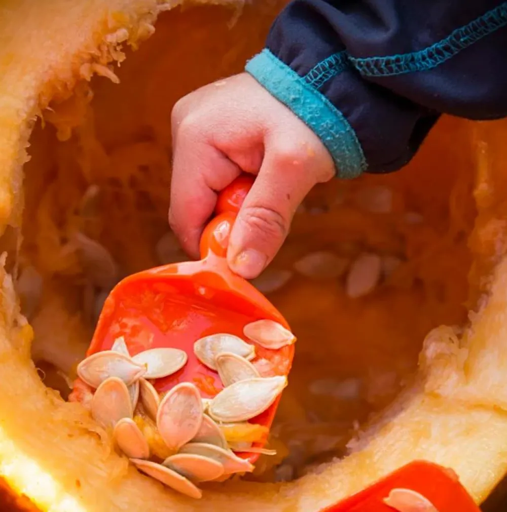 Græskar skæresæt m. 3 dele