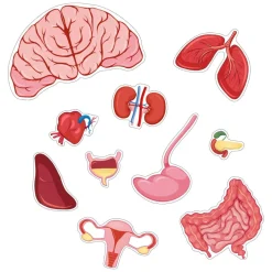 Clearance Gulvpuslespil m. 36 brikker - Pige
