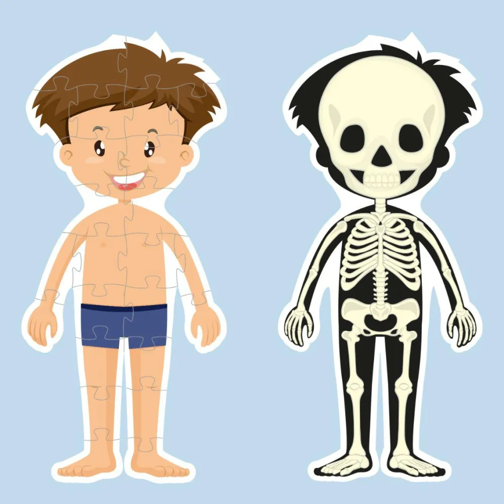 Best Gulvpuslespil m. 36 brikker - Dreng