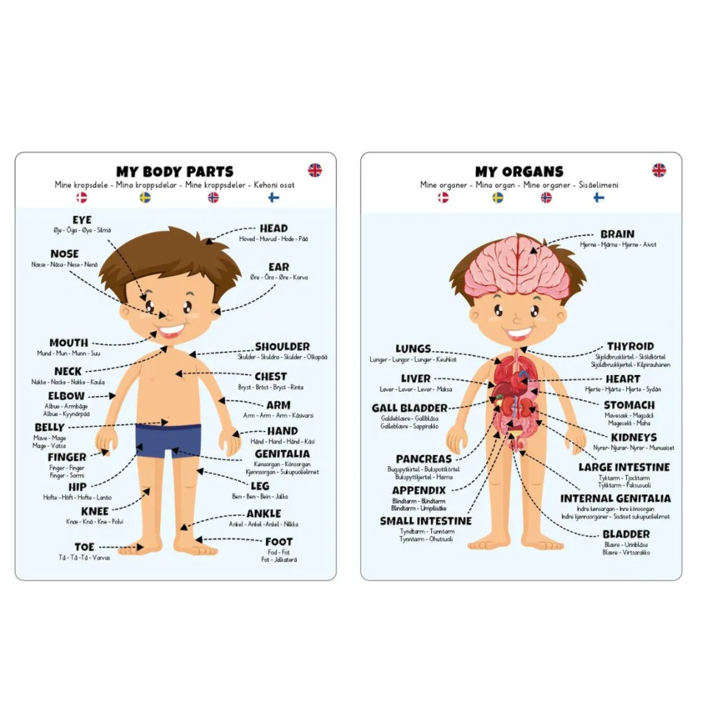 Best Gulvpuslespil m. 36 brikker - Dreng
