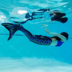Best Fin Fun Havfruehale - Hale + monofinne, SeaDragon