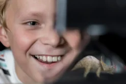 Sale 4M Hologramprojektor