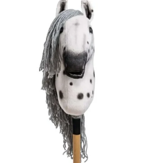 HUMMA kæphest M - Appaloosa "Flashmane"