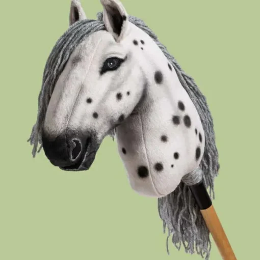HUMMA kæphest M - Appaloosa "Flashmane"