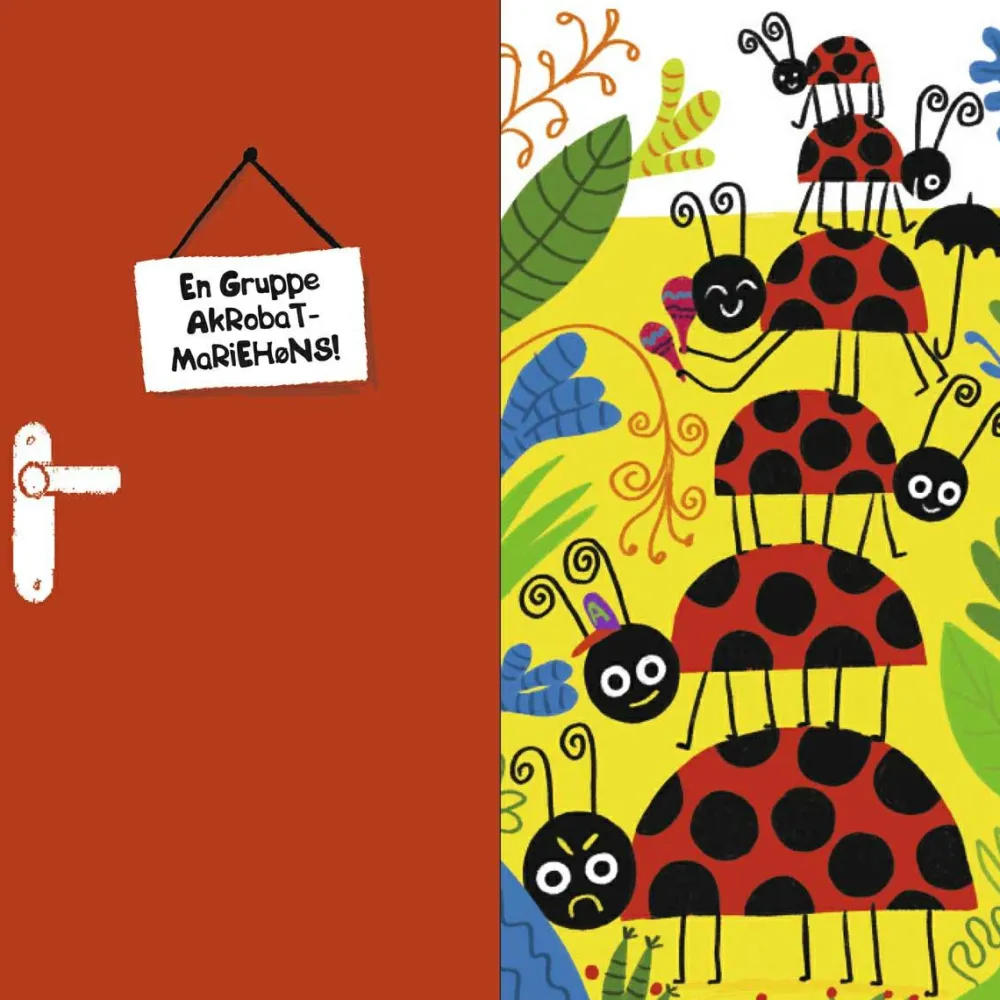 Best Forlaget Bolden Hvem gemmer sig bag døren?