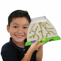 InsectLore Insektbolig - Myrer