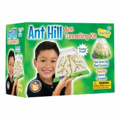 InsectLore Insektbolig - Myrer