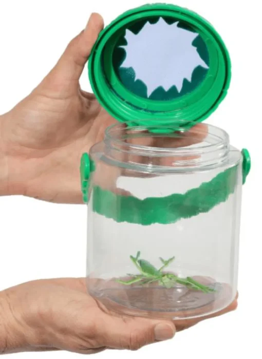 Best InsectLore Insektglas m. net i låget - Ø10,5 cm