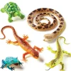 Online Learning Resources Kæmpe krybdyr og padder, 5 stk
