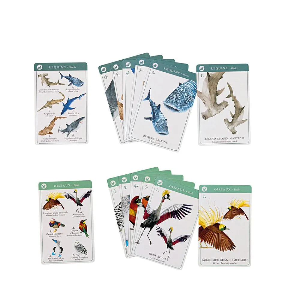 Outlet Kortspil - Dyrearter (engelsk/fransk)