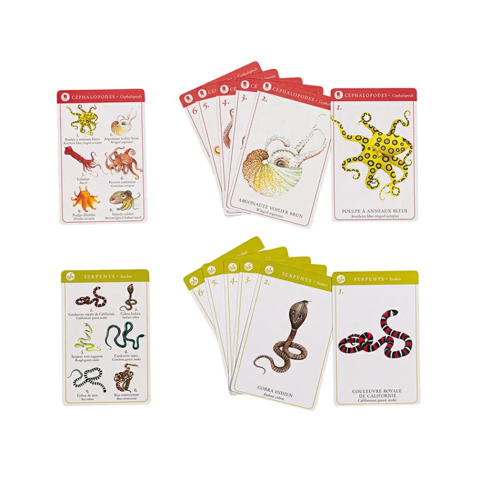 Outlet Kortspil - Dyrearter (engelsk/fransk)