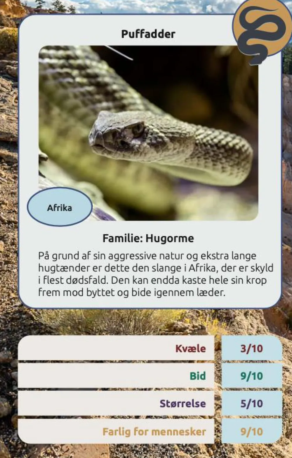 Sale Kortspil - Farlige slanger