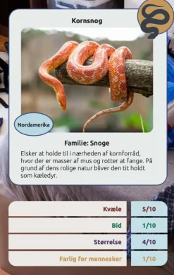 Sale Kortspil - Farlige slanger