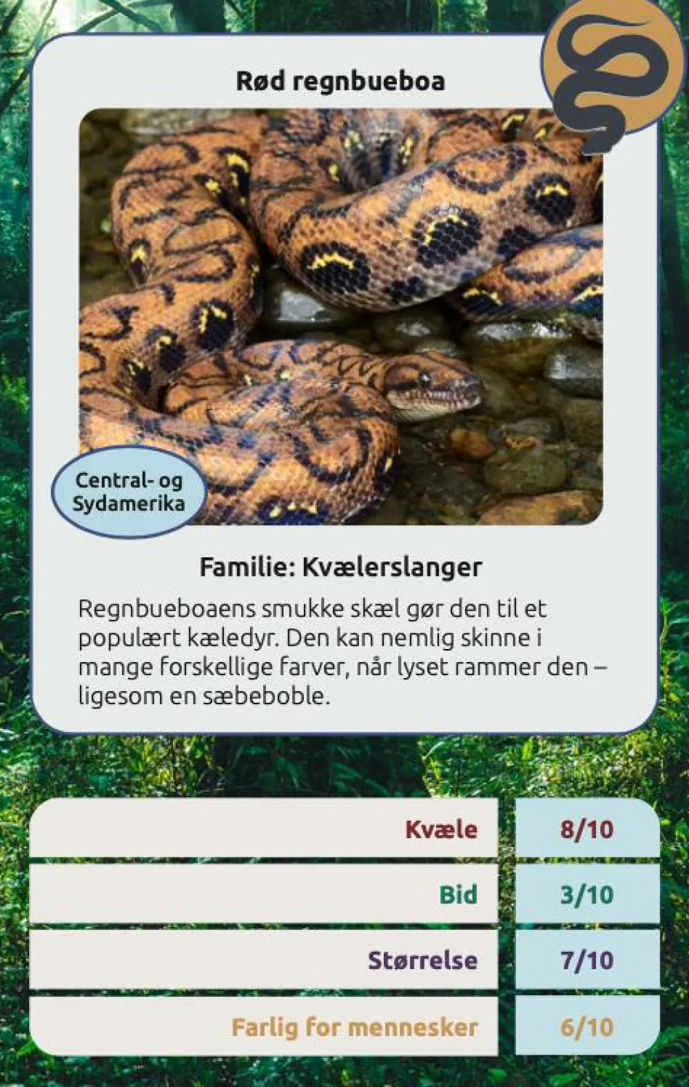 Sale Kortspil - Farlige slanger