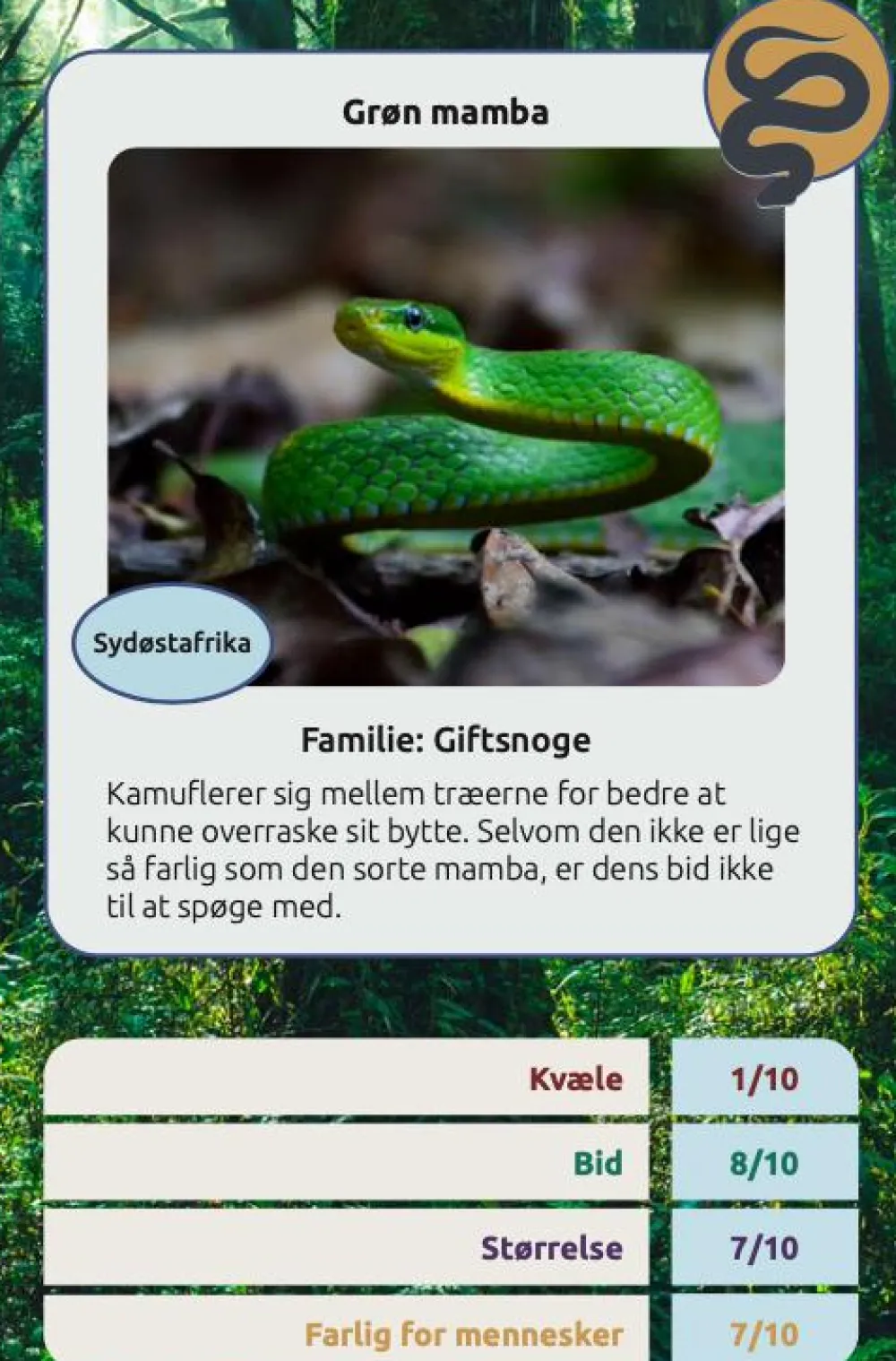 Sale Kortspil - Farlige slanger