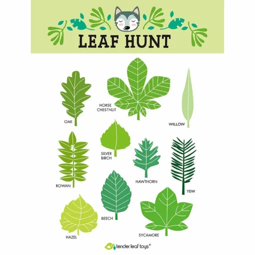 Hot Tender Leaf Legesæt til naturekspeditioner