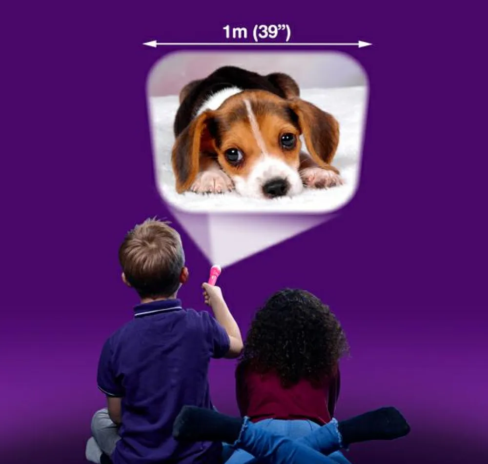 Online Brainstorm Lommelygte med dias - Nuttede dyr