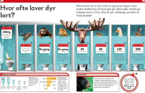 Sale Lort! Skidesjove fakta om at lave stort