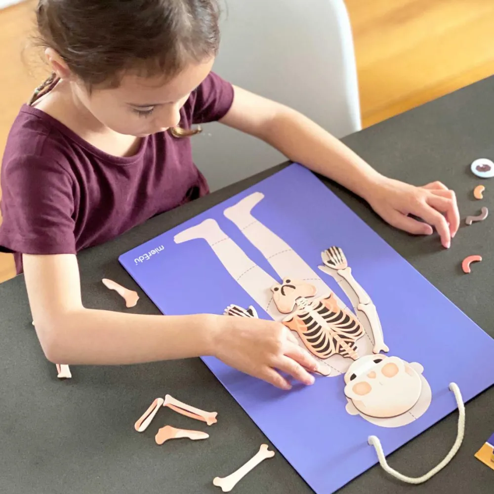 Sale mierEdu Magnetleg - Lær om kroppens funktioner, 120+ dele
