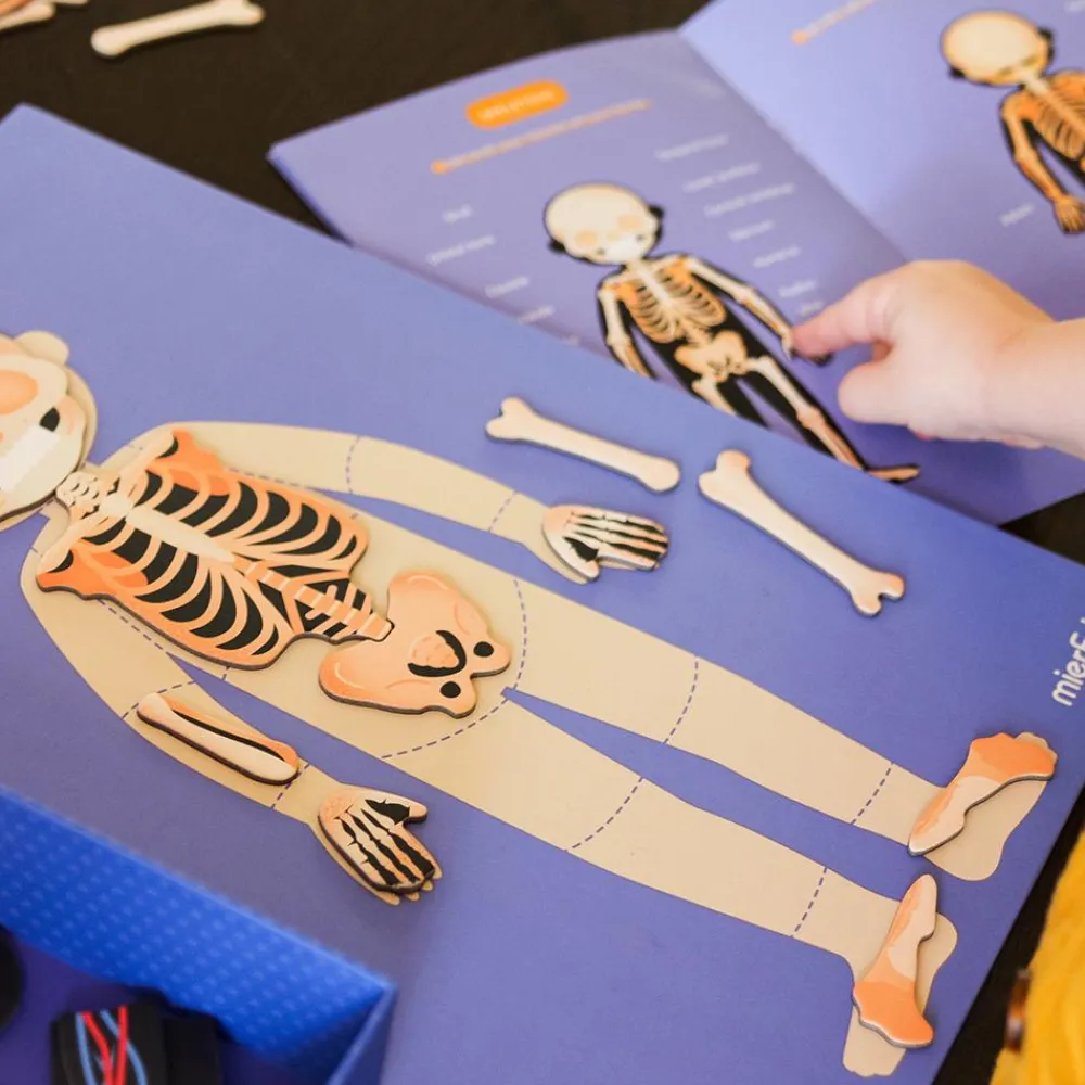 Sale mierEdu Magnetleg - Lær om kroppens funktioner, 120+ dele