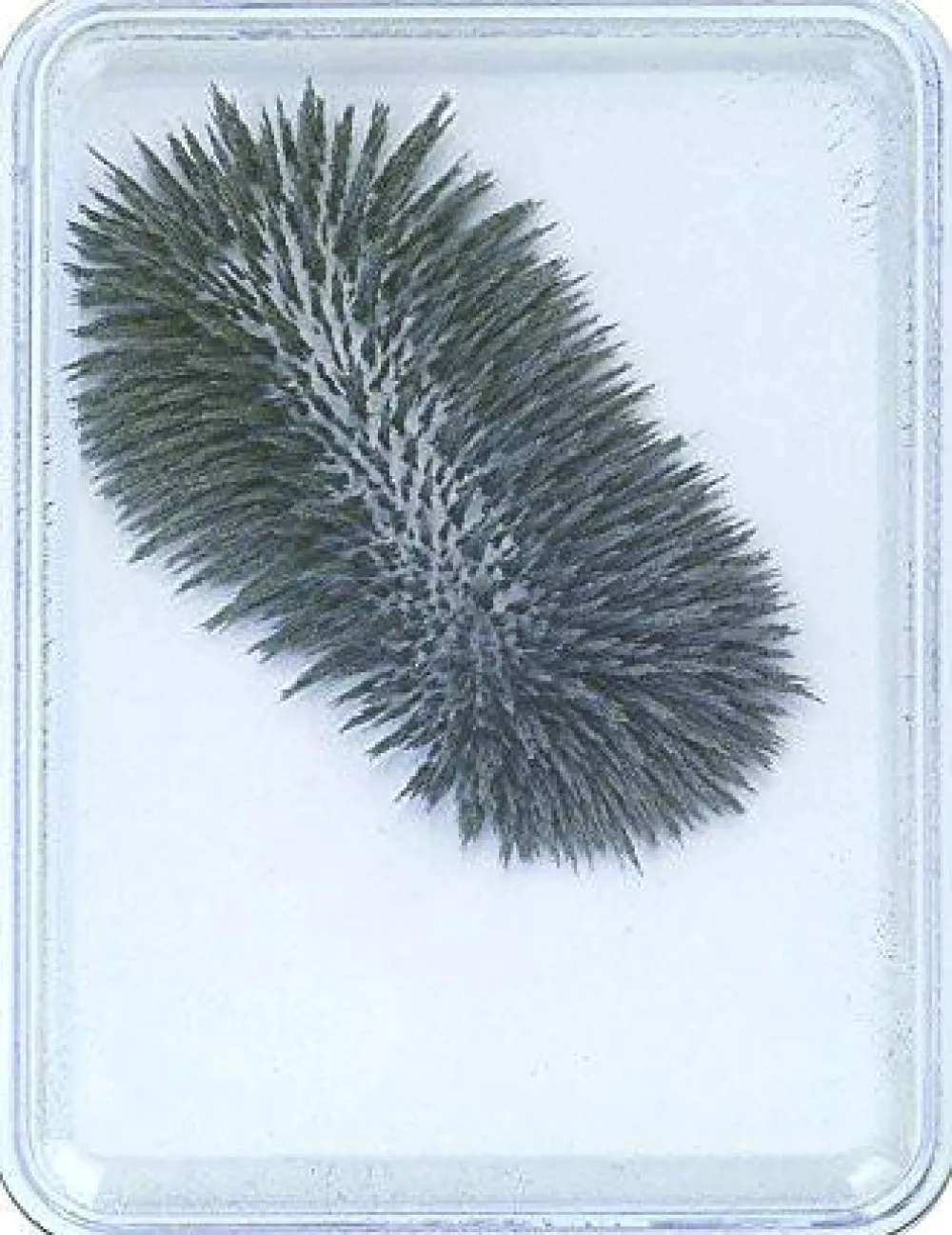 Best Magnetvindue med jernpulver - Lille