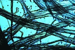 Best Mikroskop - starterkit i kuffert