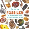 New Forlaget Bolden Min bog om fossiler