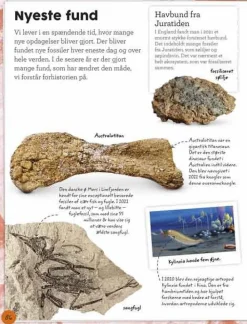 New Forlaget Bolden Min bog om fossiler