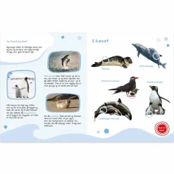 Forlaget Bolden Min store lydbog med dyreunger