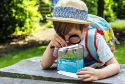 Clearance Myreakvarium med planter