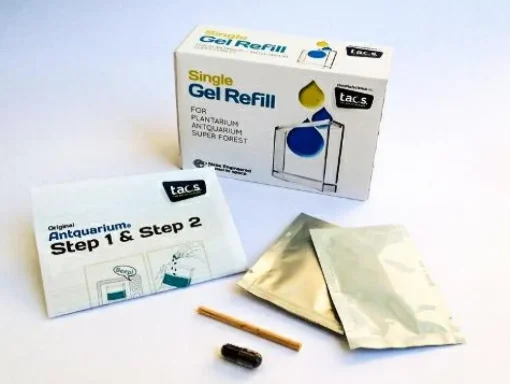 Online Myreakvarium tilbehør - Gel refill