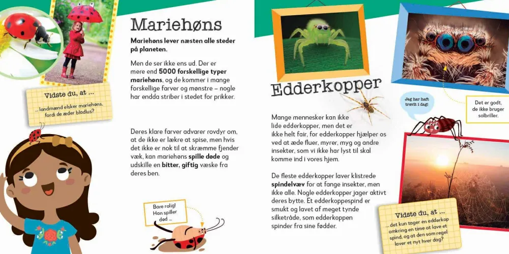 Hot Nu bliver det sjovt! Krible-krable dyr
