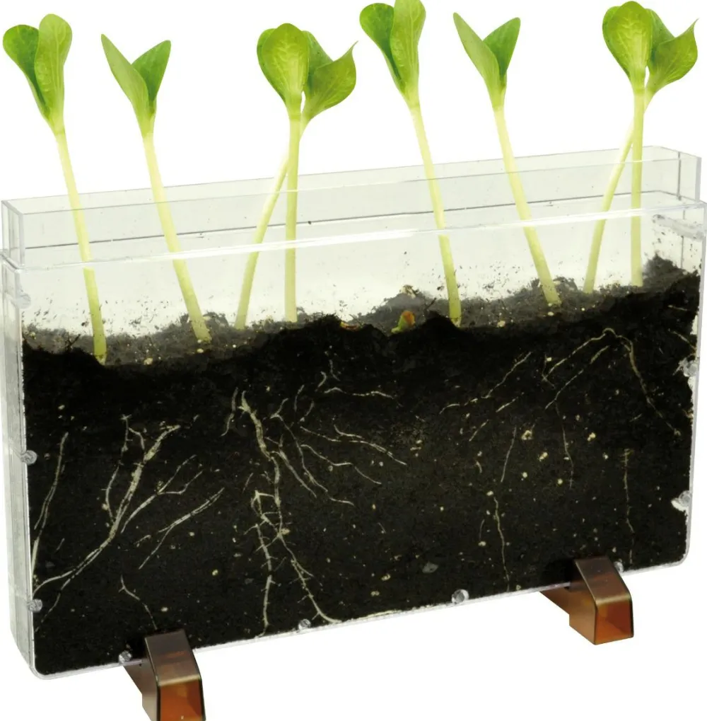 Clearance Observationskasse - Orme/Rødder