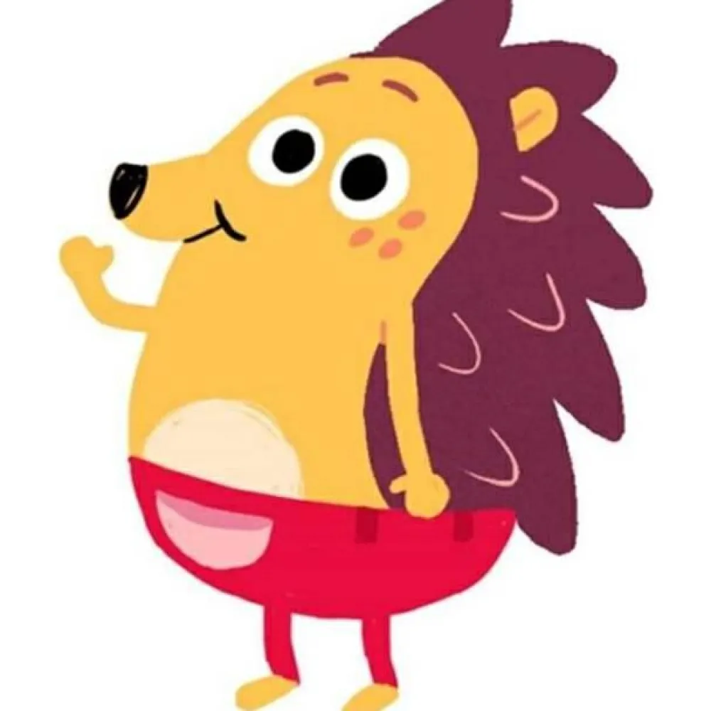 Outlet DR / Danmarks Radio Pindsvinet Børste, 25 cm