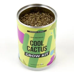 Sale Plant selv kit - Kaktus