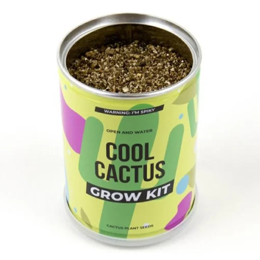 Sale Plant selv kit - Kaktus