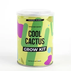 Sale Plant selv kit - Kaktus