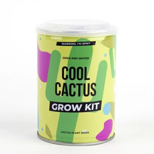Sale Plant selv kit - Kaktus