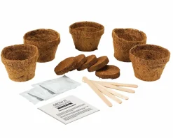 Clearance Plant selv kit - Kødædende plante