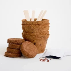 Clearance Plant selv kit - Kødædende plante